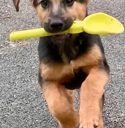 La Gueriniere, Entre Ocean Et Campagne ! Prázdninový dům *